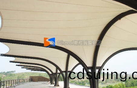 膜(mo)結構廠(chang)傢(jia)髮(fa)展歷(li)程(cheng)